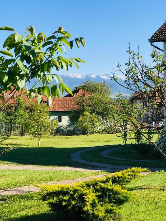 Vila Tara Hategului Екстер'єр фото